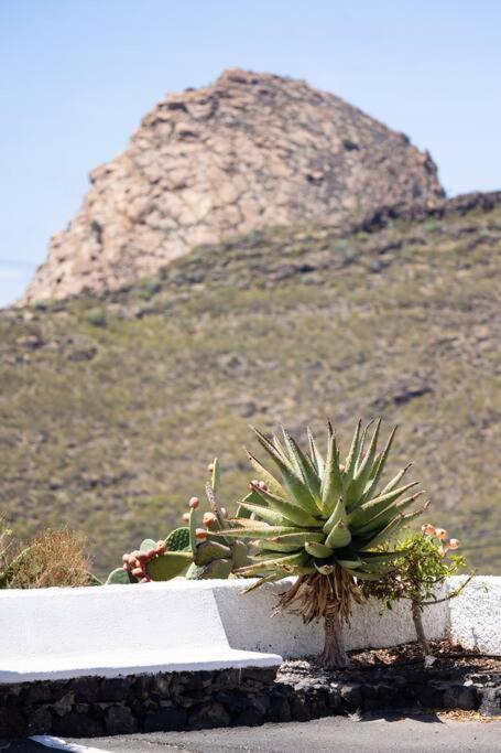 El Retamar, Naturaleza Y Paisajes Santiago del Teide Εξωτερικό φωτογραφία